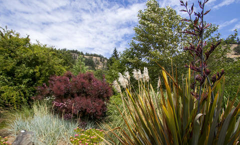 Ornamental garden on Saturna Island