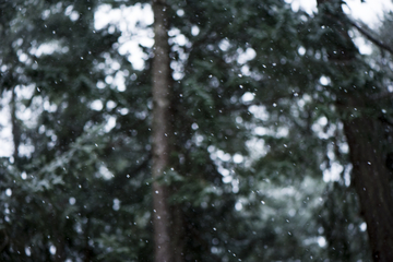 winter on pender island