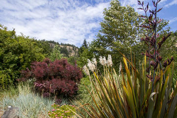 Ornamental garden on Saturna Island